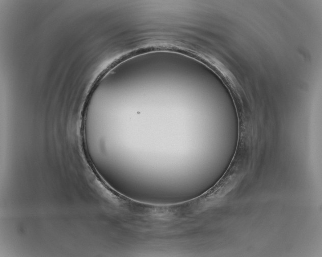 X0000112510799200908171332