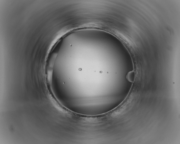 X0000112510800200908171332