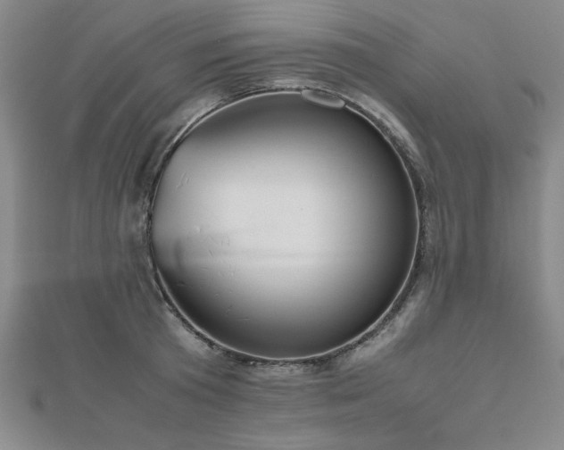 X0000112510801200908171332