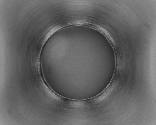 X0000112510802200908171332