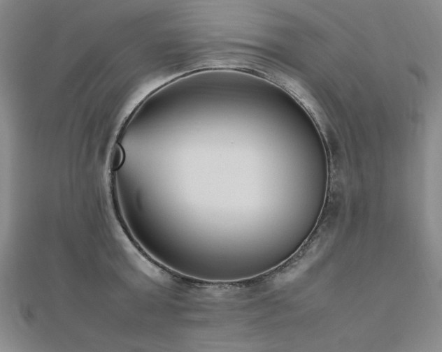 X0000112510803200908171332