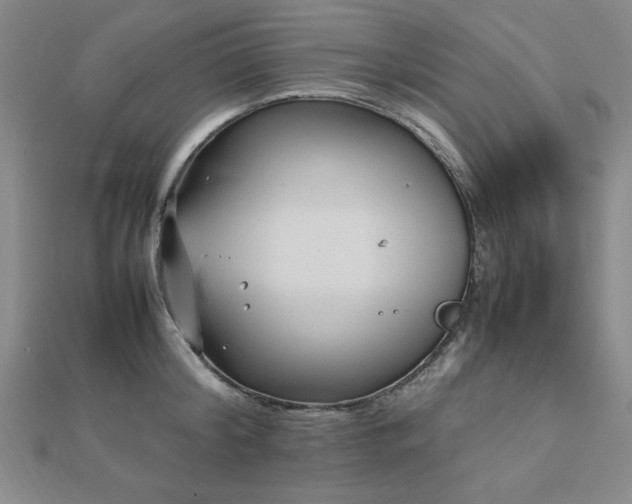 X0000112510804200908171332