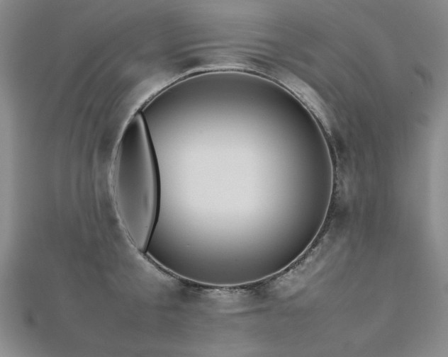 X0000112510805200908171332