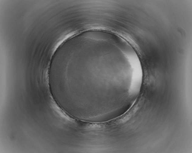 X0000112510806200908171332