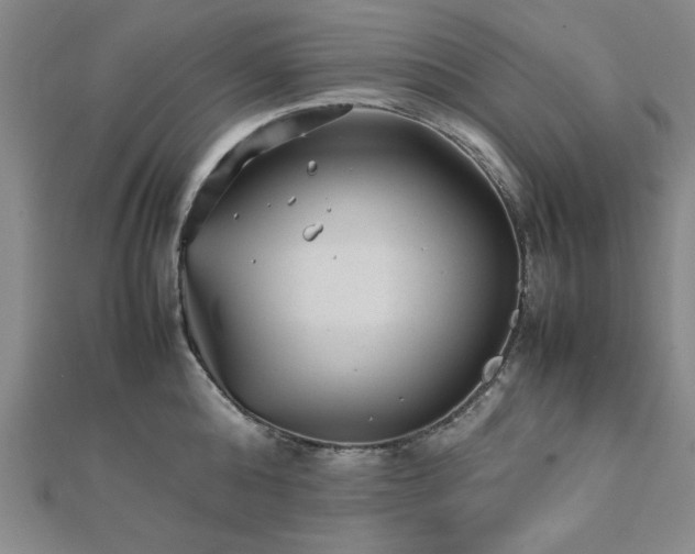 X0000112510808200908171332