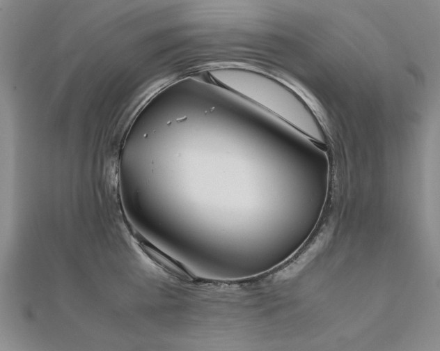 X0000112510809200908171332