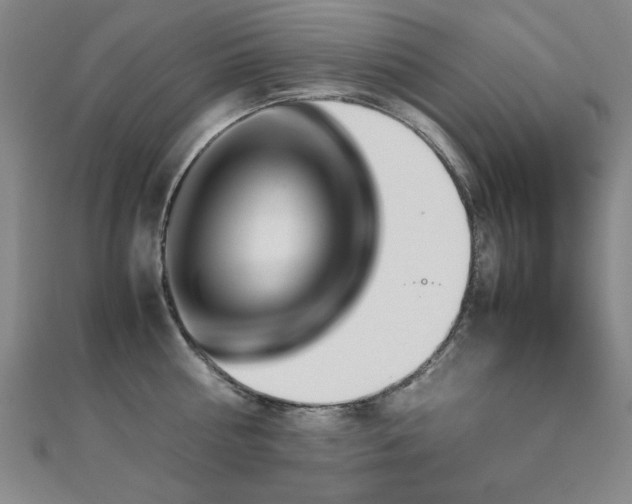 X0000112510810200908171332