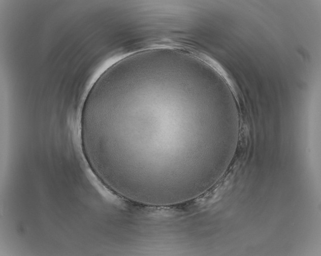 X0000112510811200908171332