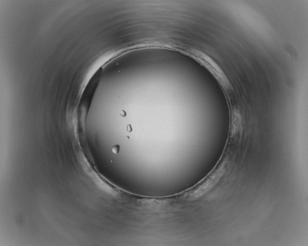 X0000112510812200908171332