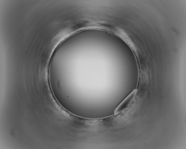 X0000112510813200908171332