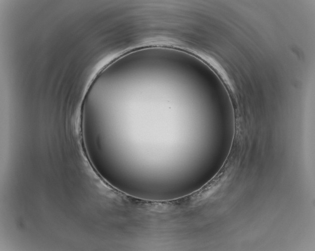 X0000112510815200908171332