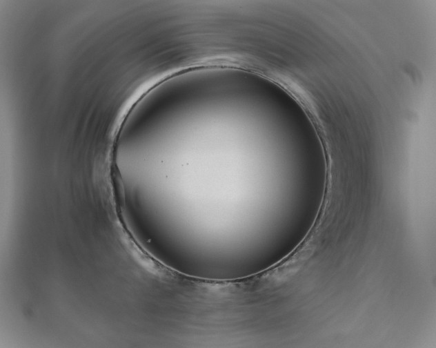 X0000112510816200908171332