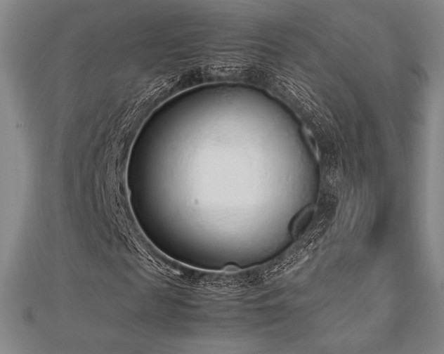 X0000112510817200908171331