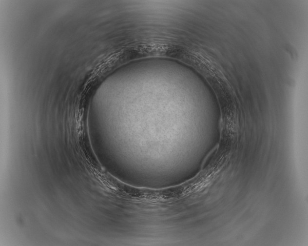 X0000112510818200908171332