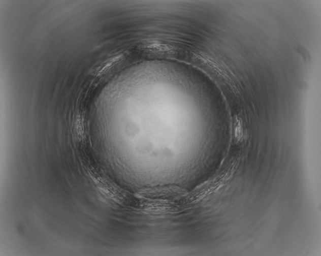 X0000112510819200908171332