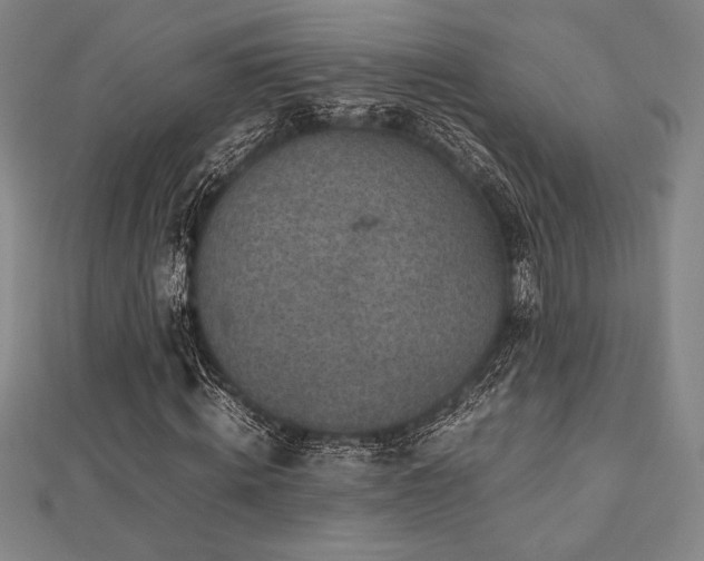 X0000112510820200908171332