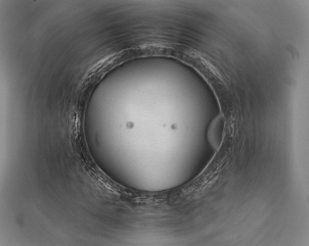 X0000112510821200908171332