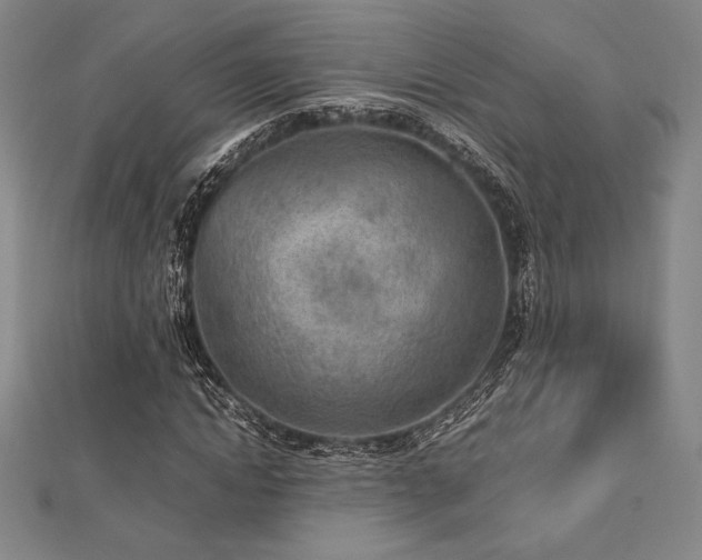 X0000112510822200908171332