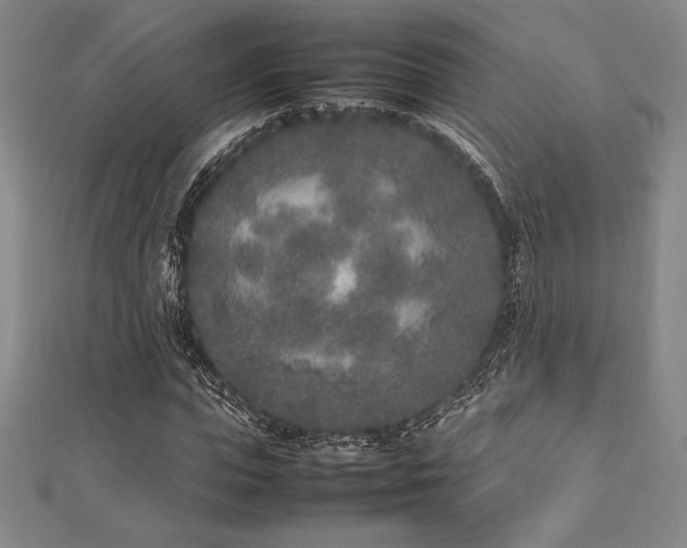 X0000112510823200908171332