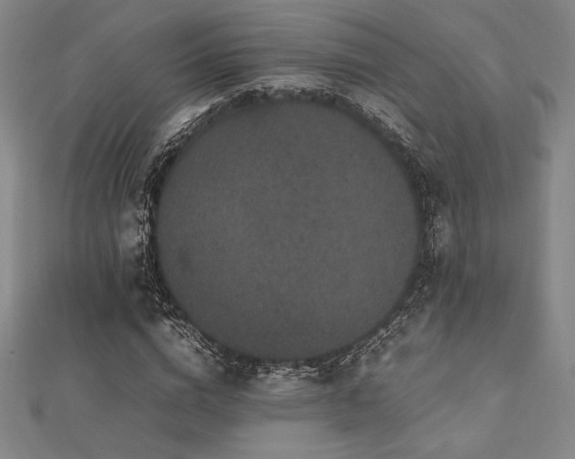 X0000112510824200908171332