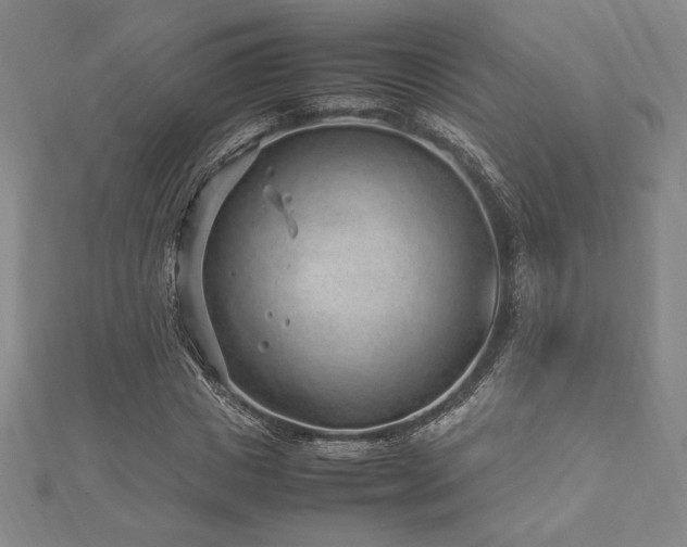 X0000112510825200908171332