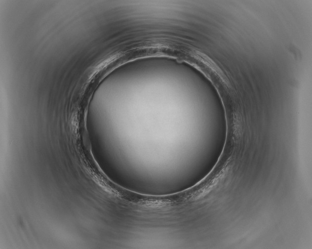 X0000112510826200908171332