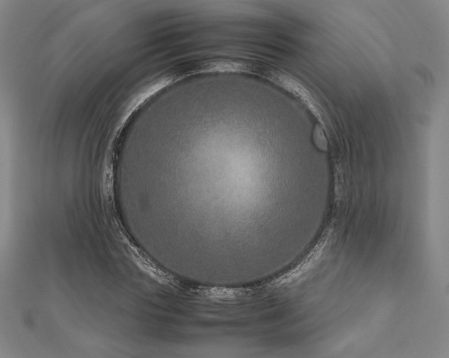 X0000112510827200908171332