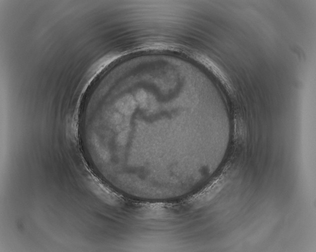 X0000112510828200908171332