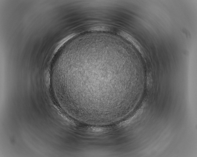 X0000112510829200908171332