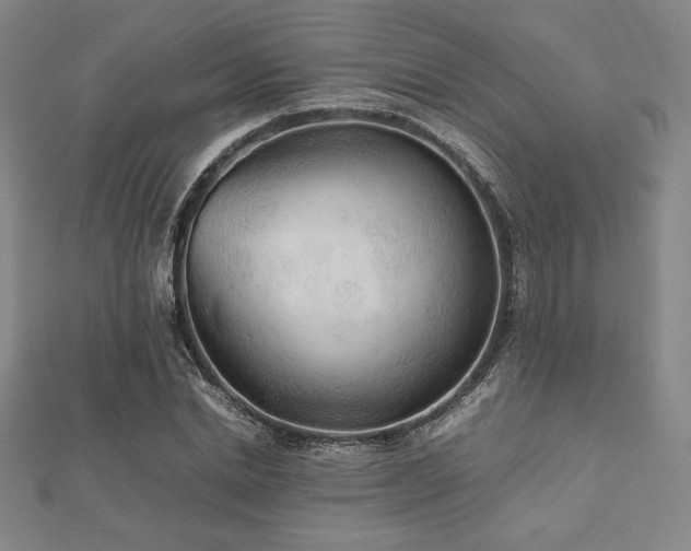 X0000112510830200908171332