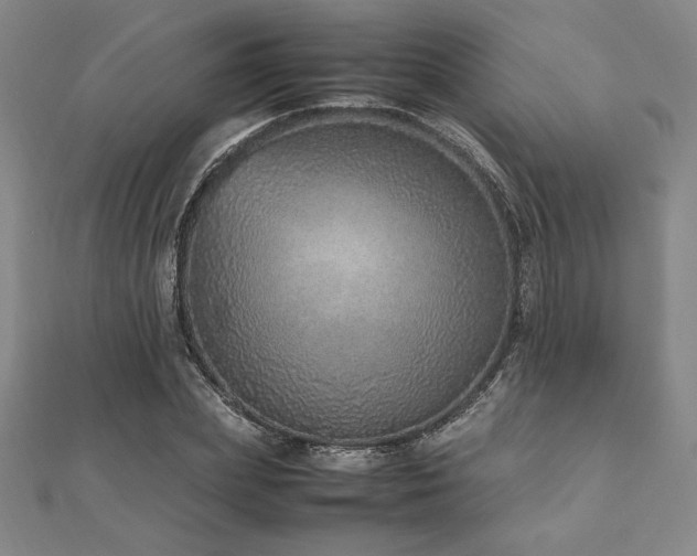 X0000112510831200908171332