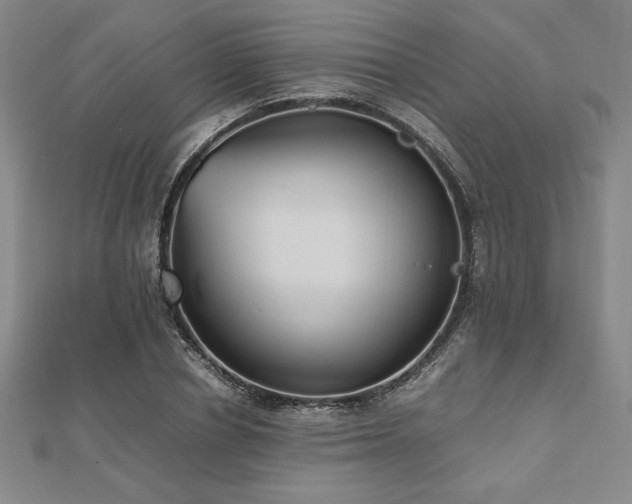 X0000112510834200908171332