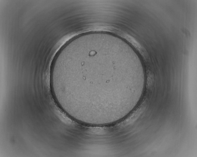 X0000112510836200908171332