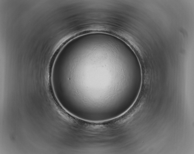 X0000112510837200908171332