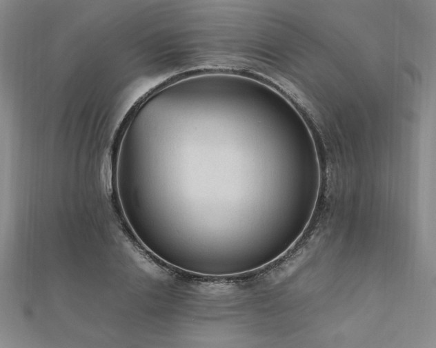 X0000112510838200908171332