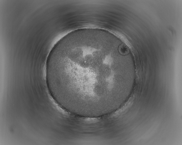 X0000112510839200908171332