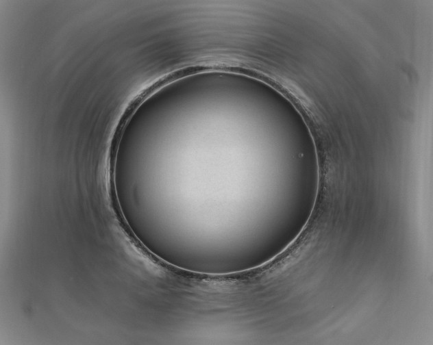 X0000112510840200908171332