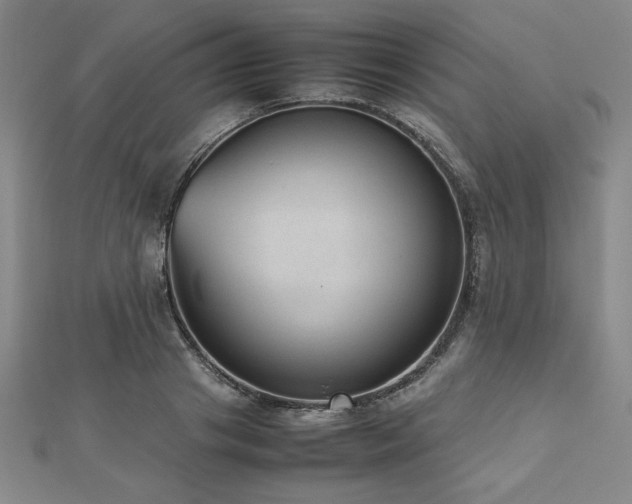 X0000112510841200908171332