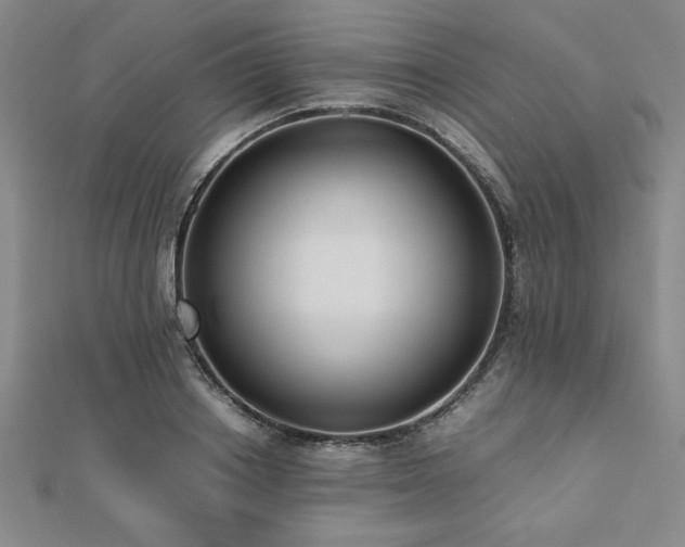 X0000112510842200908171332