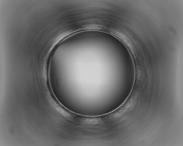 X0000112510843200908171332