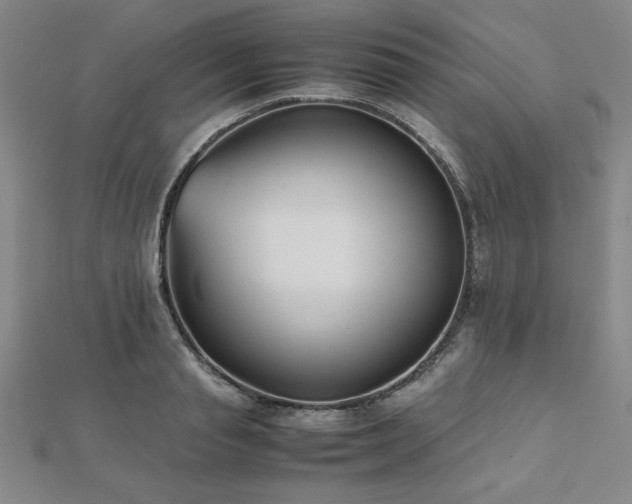 X0000112510845200908171332