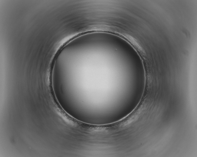 X0000112510846200908171332