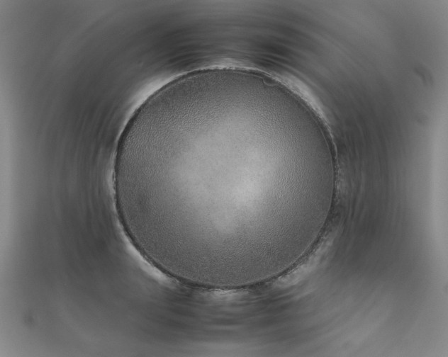 X0000112510847200908171332