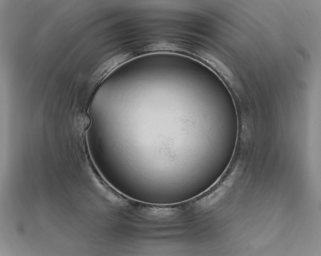 X0000112510849200908171332