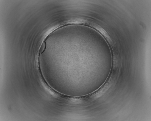 X0000112510850200908171332