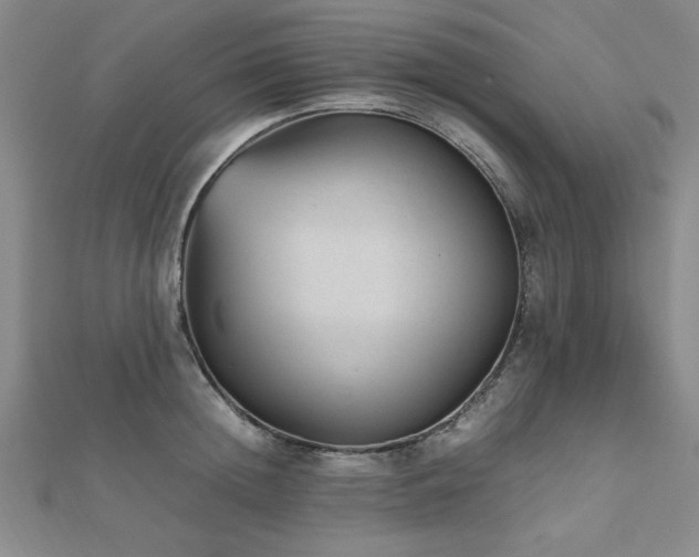 X0000112510852200908171332