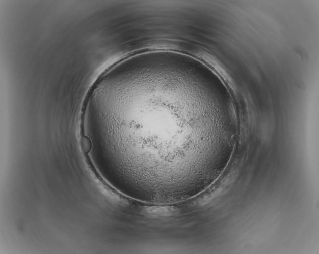 X0000112510853200908171332