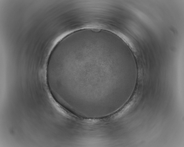 X0000112510854200908171332