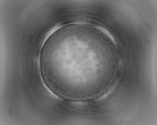 X0000112510855200908171332