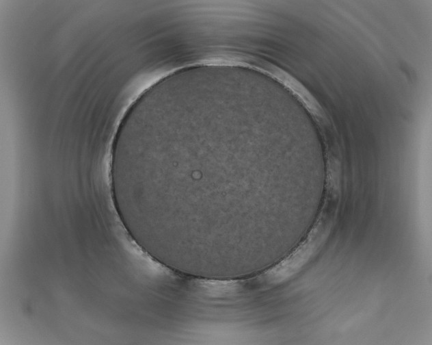 X0000112510856200908171332